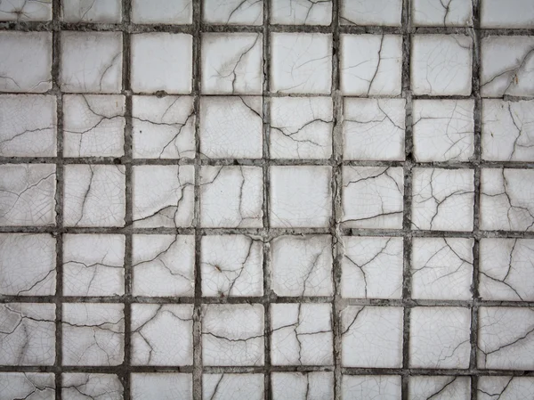 Keramické dlaždice, mozaiky — Stock fotografie