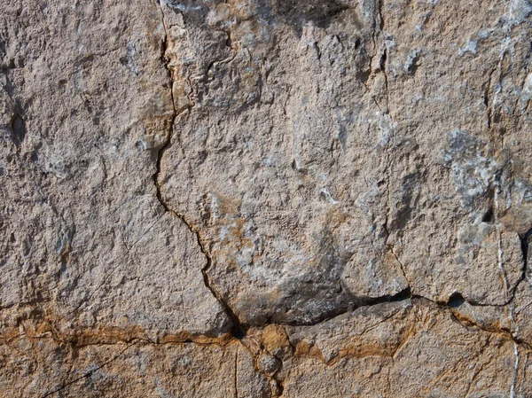 A textura de detalhe de pedra. — Fotografia de Stock