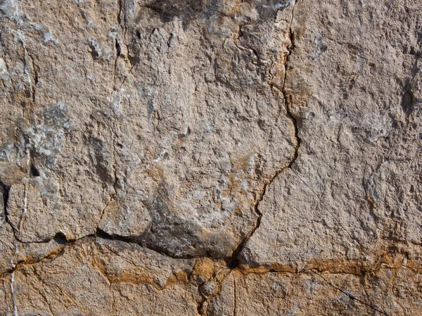 El detalle textura de la piedra. —  Fotos de Stock