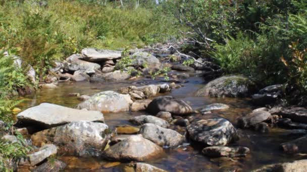 Ruisseau d'eau .