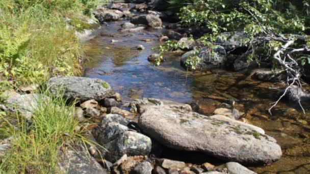 Wasserlauf. — Stockvideo