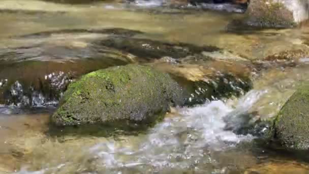 水の流れ. — ストック動画