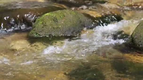 Поток воды . — стоковое видео