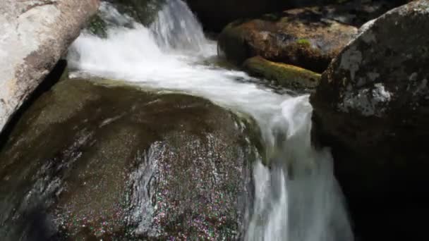 Чистий прісний водоспад у лісі — стокове відео