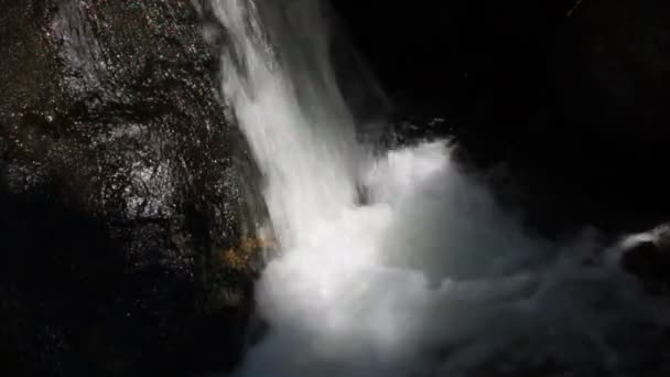 Чистий прісний водоспад у лісі — стокове відео