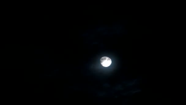 Luna piena dietro nube in movimento di notte . — Video Stock