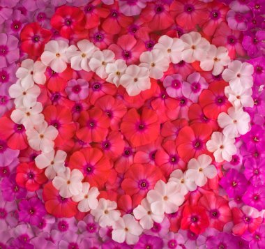 Sevgililer günü kalp çiçekler ile yapılan