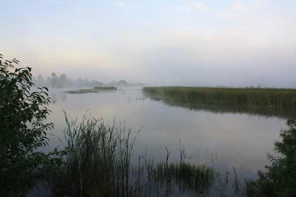 Paisaje brumoso con un lago . — Foto de Stock