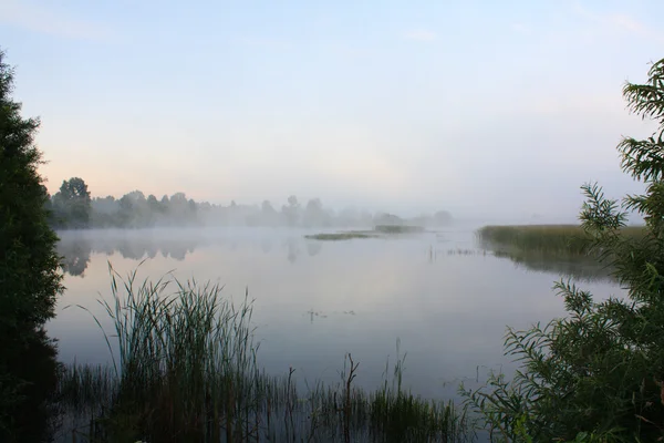 Туманный пейзаж с озером . — стоковое фото