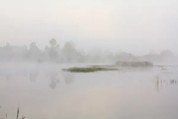 Neblige Landschaft mit einem See. — Stockfoto