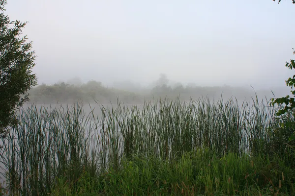 Mistige landschap met een meer. — Stockfoto