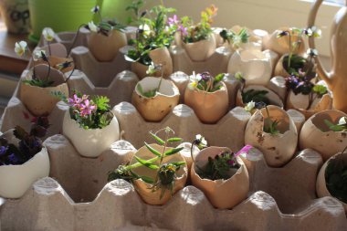 Paskalya havası, paskalya yumurtaları