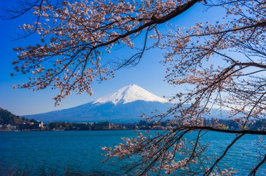 Fujisan, Fuji Dağı'nın göletten Kawaguchiko, Japonya cher ile