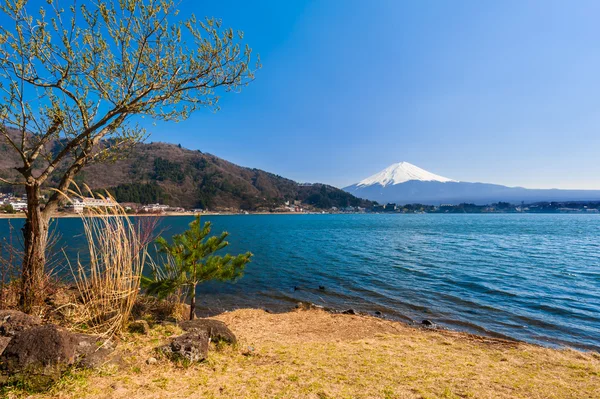 Fujisan, Гора Фудзі подання від озера Kawaguchiko, Японія — стокове фото