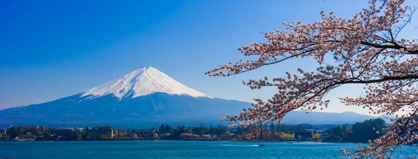 Fudżi, widok Mount Fuji Kawaguchiko jezioro, Japonia z cher — Zdjęcie stockowe