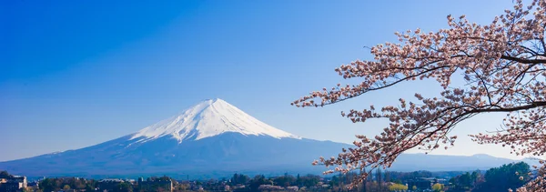 Fujisan , Mount Fuji view from Kawaguchiko lake, Japan with cher — Stock Photo, Image