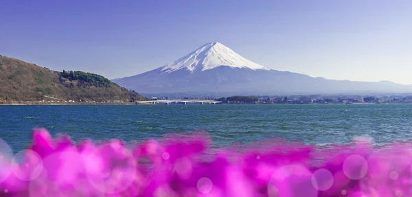 Fujisan , Mount Fuji view from Kawaguchiko lake, Japan with blur — Stock Photo, Image