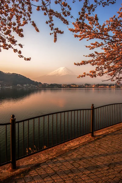 Fujisan , Mount Fuji view from Kawaguchiko lake, Japan with cher — Stock Photo, Image