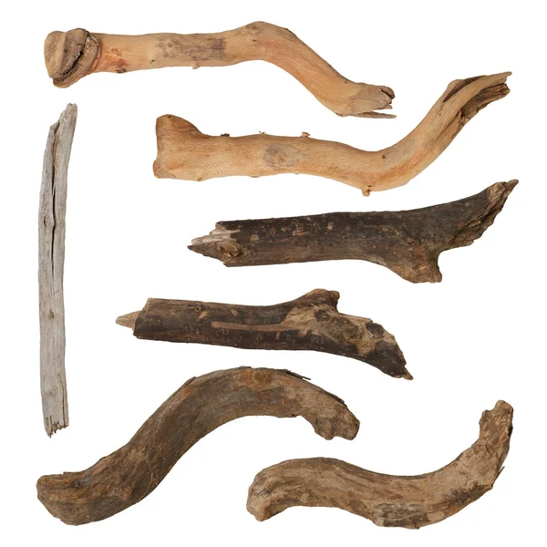 Beyaz arka plan üzerinde izole makro kuru dalları