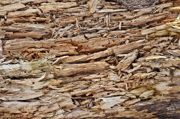 Rotten wood texture — Stock Photo, Image