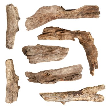 Beyaz arka plan üzerinde izole kuru dalları