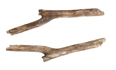 Beyaz arka plan üzerinde izole kuru dalları