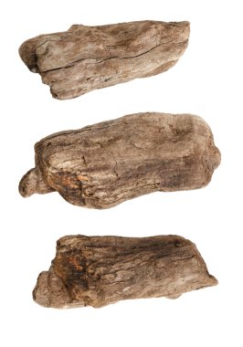 Beyaz arka plan üzerinde izole kuru dalları