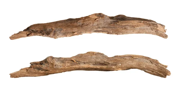 Beyaz arka plan üzerinde izole kuru dalları