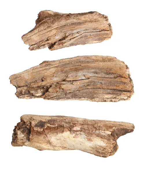 Beyaz arka plan üzerinde izole kuru dalları