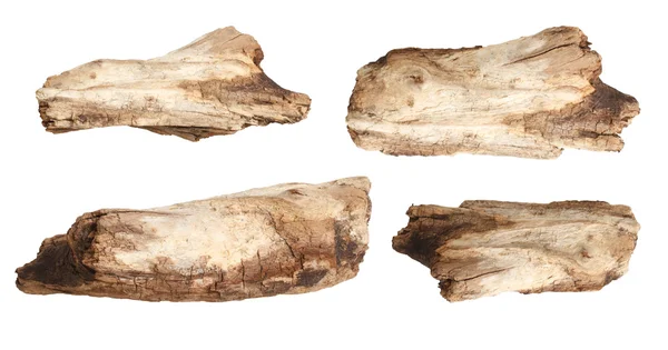 Beyaz arka plan üzerinde izole kuru dalları