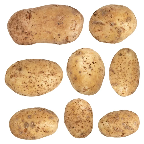 Kartoffeln — Stockfoto