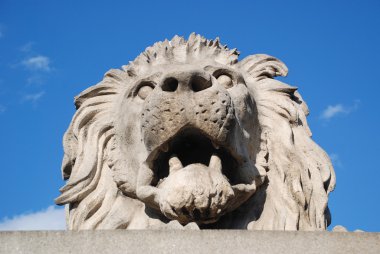 Aslan heykeli Budapeşte