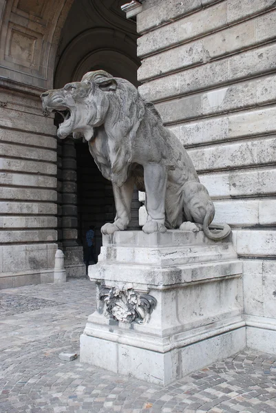 Socha lva v Budapešti — Stock fotografie