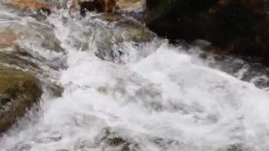 Dağ nehri