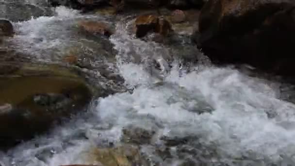 Río de montaña — Vídeo de stock