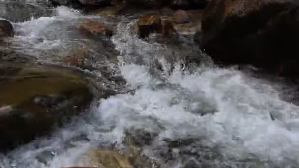 Rivière de montagne