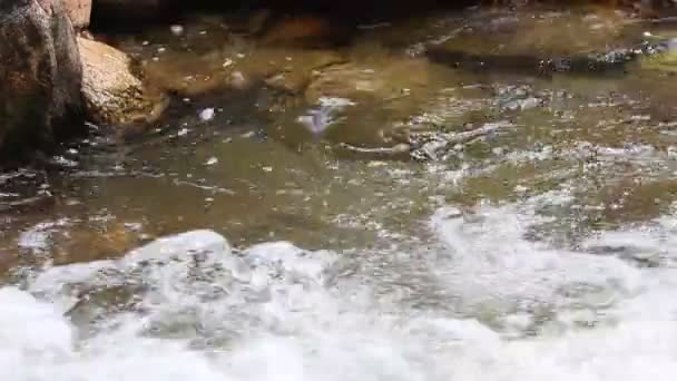 Mountain river — Stock Video