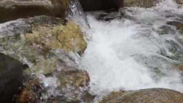 Dağ nehri — Stok video