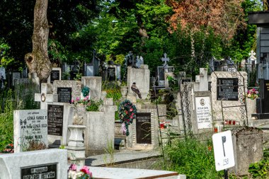 CLUJ-NAPOCA, TRANSYLVANIA, ROMANIA - 17 Haziran 2021: Cluj-Napoca 'daki merkez mezarlıktan görüntü.