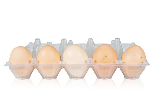 Пластиковый Держатель Органическими Яйцами Изолированы Белом Фоне — стоковое фото