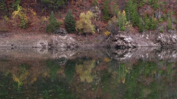 Podzimní Krajina Odráží Vodě Velkého Údolí Valea Mare Akumulační Jezero — Stock video