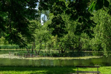 Craiova, Dolj İlçesi, Romanya 14 Mayıs 2022: Romanya 'nın Craiova kentindeki Romanescu Parkı' ndaki Büyük Göl 'deki leylek ve kuğu adası.