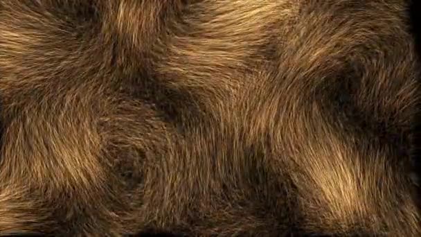 Realistic Golden Fur Background Resolution Ultra — Stock Video