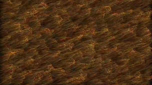 Realistic Golden Fur Background Resolution Ultra — Stock video