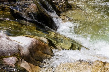  Romanya 'nın Gorj kentindeki Gilort nehrinin üst kesimindeki manzara. Berrak ve temiz suyu olan dağ nehri.