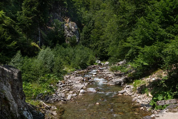  Romanya 'nın Gorj kentindeki Gilort nehrinin üst kesimindeki manzara. Berrak ve temiz suyu olan dağ nehri.