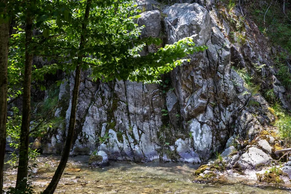 Landscape on the upper course of the river Gilort, Gorj, Romania. Mountain river with clear and clean water.