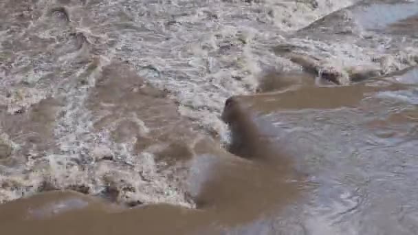 Špinavá Řeka Bahnitou Vodou Období Záplav Během Silných Dešťů Jaře — Stock video