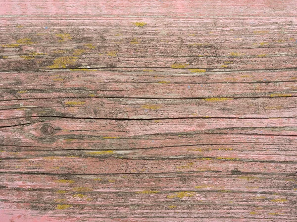 High Quality Pink Painted Wood Background Front View Copy Space — Stock Photo, Image