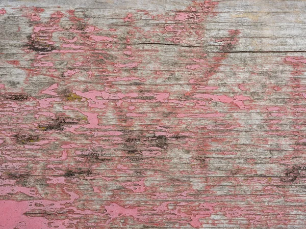 高品質のピンク塗装木材の背景 コピースペース付きフロントビュー — ストック写真